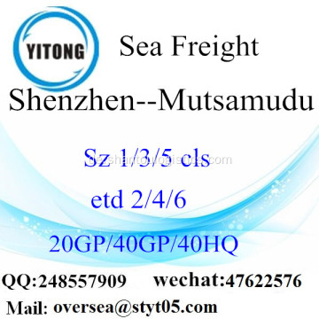 Shenzhen Port Seefracht Versand nach Mutsamudu